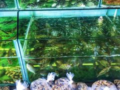 水产区-蚝乡农庄(铁涌赤岸店)