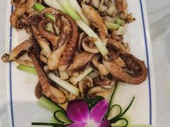八爪鱼-渔乡海鲜美食