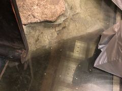 -鱼桥巷·美学川菜