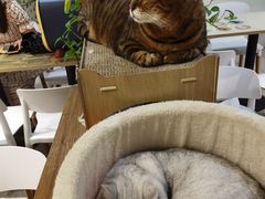 -小时光咖啡馆(北锣鼓巷店)