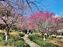 -杭州植物园