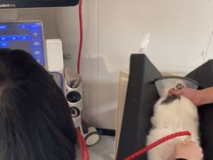 -瑞鹏宠物医院·骨科·猫科·内科(第一中心)