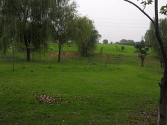 -漕湖湿地公园
