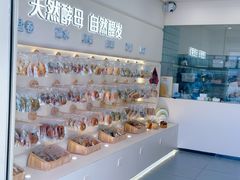 -七叔是岛民(大学城gogo新天地店)