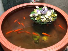 -猫色咖啡·猫咖
