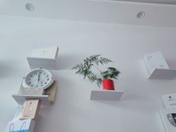 -百世玉芳专业祛痘