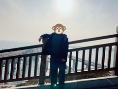 -星海湾跨海大桥