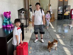 -上海崇明金茂凯悦酒店