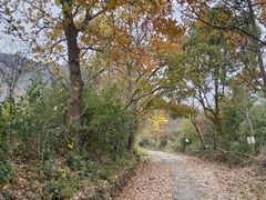 -东钱湖旅游度假区