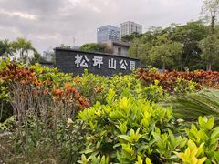 -松坪山公园