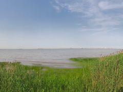 -吴淞炮台湾湿地森林公园烧烤区