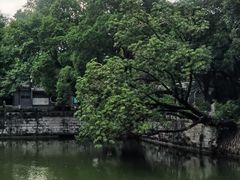-柳侯公园
