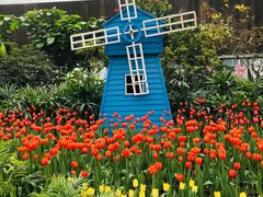 -南宫五洲植物乐园