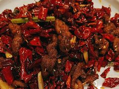-付掌柜在成都·热炒砂锅集(金禾店)