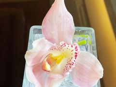 -南京东郊国宾馆