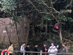 -新安江山水画廊风景区