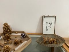 -猫里有甜