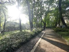 -昆山城市生态森林公园