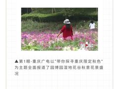 -重庆园博园