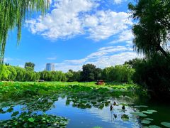 -皇家御河游(紫御湾码头)