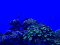 -多彩贵州城极地海洋世界