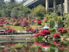 -云溪植物园