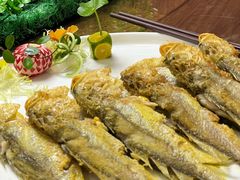 香煎小黄鱼-龍雨堂粤菜食府(福兴大厦店)
