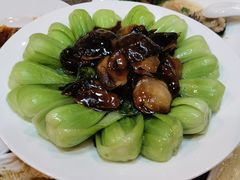 香菇菜心-泰丰楼(前门西大街店)