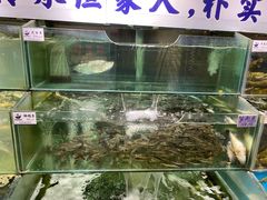 水产区-胖姐渔村(中源大道店)