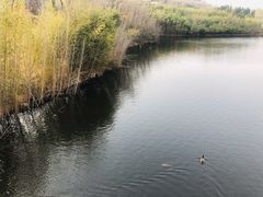 -青岛森林野生动物世界