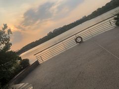 -昆山城市生态森林公园