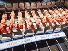 呼伦贝尔羊肉串-很久以前羊肉串(中山公园店)