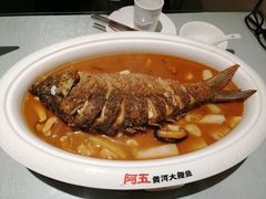 -阿五黄河大鲤鱼(英协路店)