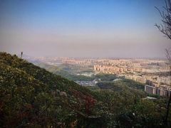 -杭州半山国家森林公园