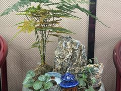 -留芳·文旅古月楼(老街店)
