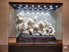 -梁鸿湿地丽笙度假酒店大堂吧