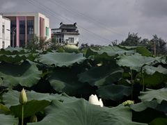 -西溪南古村落