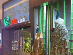 -雀舞云南菜(天津天河城购物中心店)