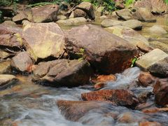 -广州白江湖森林公园