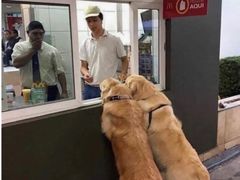 -特派卷·老北京烤鸭卷(合生汇购物中心店)