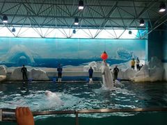 -秦皇岛乐岛海洋王国