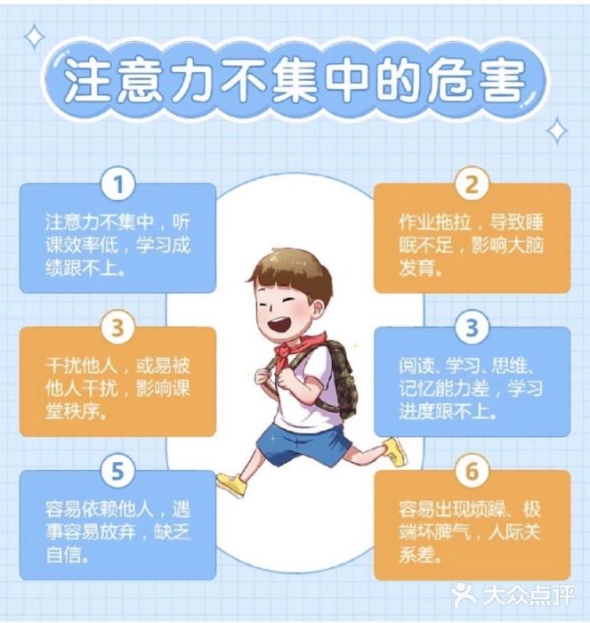 金色雨林学习力培优(专注力提升)图片