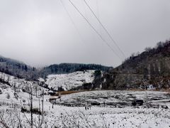 -武陵山森林公园