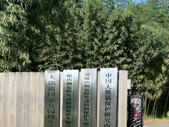 -都江堰中华大熊猫苑