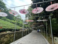 -敬亭山风景名胜区