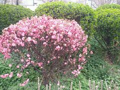 -西安汉城湖景区