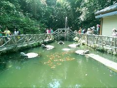android_upload_pic-谭记老字号跳跳蛙·香辣蟹.专注二十年(滨江店)