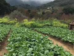 -广州市石门国家森林公园