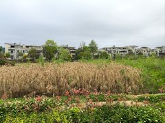 -两河城市森林公园