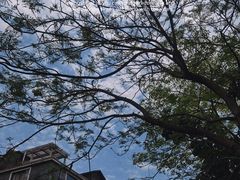 -黄埔古港